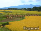 観光地 田園風景