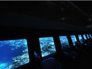 �y�������������ό��D �V�[�X�J�C�����z��ʓI�ȊC���`�����ރO���X�{�[�g�ł͑̌��ł��Ȃ��̌����B