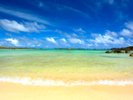 �y�V�M���r�[�`�i���]�[�g���j�z���󂪑����V�M���r�[�`