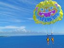 �y�p���Z�[�����O�z���E���w�̔������C�ōō��̑z���o���B�����C�Ɛ���A�{�Ãu���[��Ƃ���!