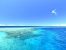 �y���d�����{�[�g�V���m�[�P���z�D�ł����s���Ȃ��V���m�[�P�����O�|�C���g�ցB�����̃V���m�[�P�����O�̌�