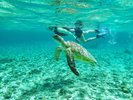 �y�����̌��V���m�[�P���c�A�[�z�C�̒����̂����΁A�����͂܂�ŗ��{��̂悤�B