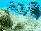�y�����̌��_�C�r���O�i���]�[�g���j�z ���C�Z���X���Ȃ��Ă��_�C�r���O�Ƀ`�������W�ł��܂��B