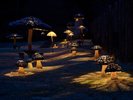 TreeHouse 夜