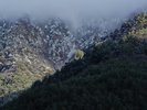 十二ヶ岳雪化粧
