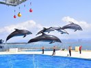 Marine World