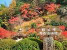 那谷寺