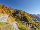 白山白川郷ホワイトロード
