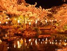 〇打吹公園 <当館より車で約10分>