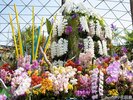 〇とっとり花回廊 <当館より車で約75分>