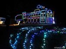 〇鳥取砂丘 こどもの国 <当館より車で約60分>