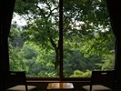 窓一面に広がる緑の絶景。癒やしの空間で心ゆくまでご満喫ください。