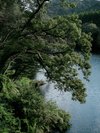 川の音に耳を澄ませて。心が癒やされる時間
