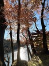 ラウンジ
