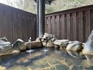 �y����a���q����p�I�V���C�z�D���Ȏ��ɍD���Ȃ����B�N�ɂ��ז�����Ȃ������̌���|�������B