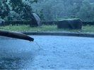 【雨の情緒あふれる露天風呂】湯面に落ちる雨音と緑の景観。雨の日ならではの静寂な湯浴みを。