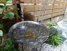 【館内設備】中庭の水盤