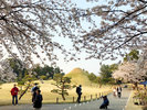 水前寺成趣園