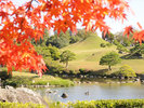 水前寺成趣園