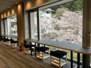 桜の時期はこの景色を独り占め♪