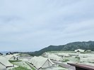 LAND CAVE|LAND CAVEエリア