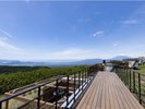 スカイデッキからの景色※お部屋タイプによって景観は異なります。