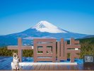 【客室タイプ】スカイデッキヴィラ with Dog