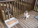 【客室タイプ】スカイデッキヴィラ with Dog