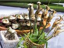 �y2023�N�ăr���b�t�F�z���h���̂ڏĂ��E���̉��Ă����C���[�W