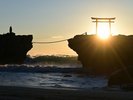 白浜神社裏手の海岸には鳥居が海に向かって立つています。