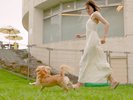 ワンちゃんが自由に走り回れるドッグランを併設しています。