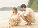 水遊びが大好きなワンちゃんには、きっと最高の遊び場に