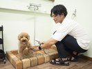 ビーチで遊んだ後には、シャワールームやドライルームをご利用ください。