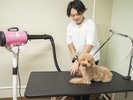ビーチで遊んだ後には、シャワールームやドライルームをご利用ください。