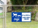 ドッグ ラン は小型犬エリア(10kg未満)と中・大型犬エリア(10kg以上40kg未満)に分かれています。