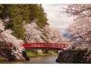 米沢一人気の桜スポットです