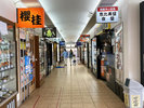 ■函館朝市/函館の美味しい朝ご飯は朝市がオススメ♪