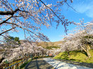 ■函館公園/車で7分