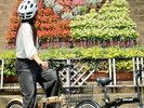 【インクルーシブ】レンタサイクル
