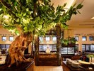 【ディナービュッフェ】豊かな自然が育んだ旬の地元食材を贅沢に。心ゆくまで味わう至福のひととき。