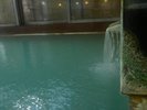 ���ق̉���́A�S�Č���|������100���B�����F�̓��́A�����̍��肽���悤���{�L���̋��_����ł��B