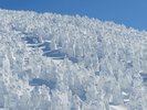 【周辺観光】蔵王の樹氷(蔵王ロープウェイ地蔵山頂駅)