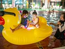 �i�C�g�v�[�����C���[�W
