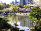 ◇縮景園_桜