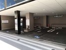 平面駐車場(先着順)