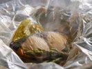 焼物(一例)