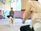 【屋内プレイスペース】
