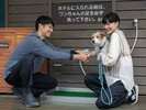 足洗い場