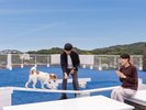 【DOG PARK(屋上)】