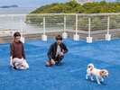 【DOG PARK(屋上)】